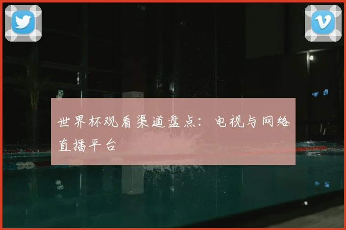 世界杯观看渠道盘点:电视与网络直播平台