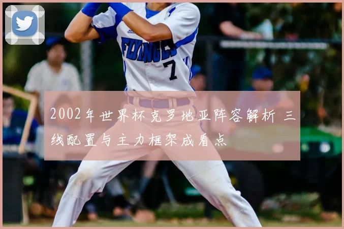 2002年世界杯克罗地亚阵容解析 三线配置与主力框架成看点