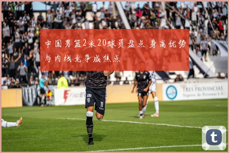 中国男篮2米20球员盘点 身高优势与内线竞争成焦点
